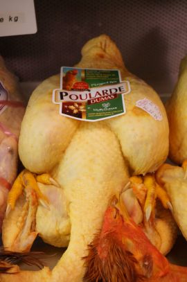 Poularde Fermière du Périgord