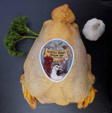 Poulet jaune 100 jours d‘élevage