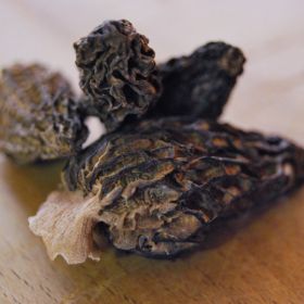Morilles séchées, CEPENADES